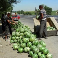 В ДОРОГЕ. :: Виктор Осипчук