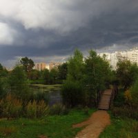 Природа больше пугала :: Андрей Лукьянов