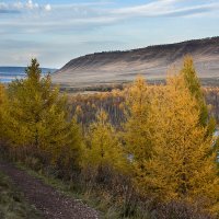 "Золото осени" :: Алексей Мезенцев