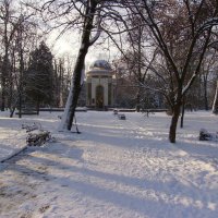 Зима  в  Ивано - Франковске :: Андрей  Васильевич Коляскин