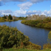 Яркий сентябрь :: Вера Андреева