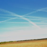 Воздушный перекресток :: Татьяна Носова