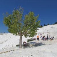 Памуккале,Турция :: Елена Шаламова