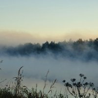 Утренний туман над каналом. :: Анатолий. Chesnavik.