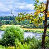 Осень. Начало :: Александр Горбунов