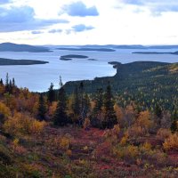 Осенняя палитра :: Ольга 