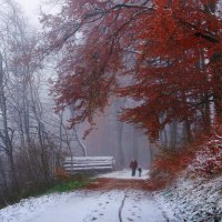 шел первый снег, но осень не сдавалась :: Elena Wymann