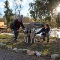 Рускеальские водопады на реке Тохмайоки. :: Владимир Лазарев