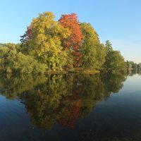 В парке :: Сергей Григорьев