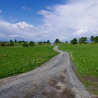 Дорога в Кижах :: Николай Смольников