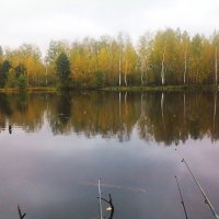 осень... :: александр дмитриев 