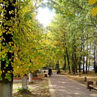 Осенью в городе :: Елена Семигина