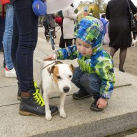 Северодвинск. Митинг в защиту животных (4) :: Владимир Шибинский