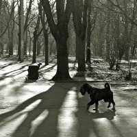 в парке :: Александр Корчемный