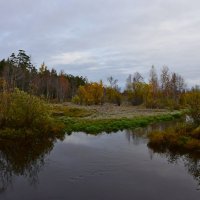 *** :: Леонид Чащин