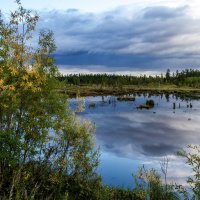 Осеннее настроение :: Дмитрий Сиялов