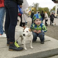 Северодвинск. Митинг в защиту животных (3) :: Владимир Шибинский