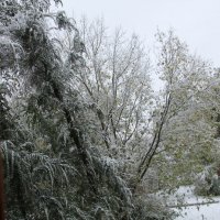 Первый снег в Бийске :: Олег Афанасьевич Сергеев