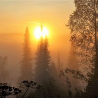 Восходит солнце в утреннем тумане :: Сергей Чиняев 