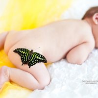 новорожденный малыш :: Наталья Бабенкова