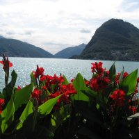 озеро в г. Лугано, Швейцария :: Дмитрий Родышевцев