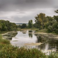 перед дождем :: Жанна Шишкина