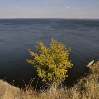 на Волжском обрыве :: Андрей ЕВСЕЕВ