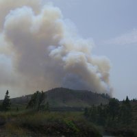 Начало лесного пожара на о. Тенерифе в 2012 :: Александр 