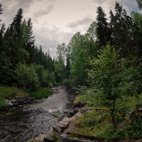 Берега лесной реки :: Евгений Плетнев