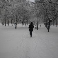 Бульвар под снегом :: Наталья Тимошенко