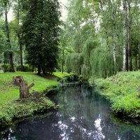 Старый парк :: Наталья Честных