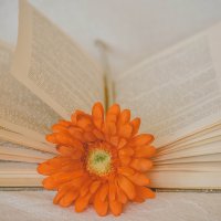 read time :: Катерина Регрут