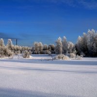 Зимний день. :: Андрей Генинг.
