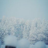 Зима :: Анастасия Шмелева