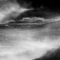 Буревестник гордо реет между молний над ревущим гневно морем :: Olesia Kasabova