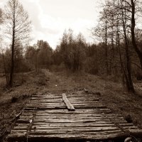 Старый мостик :: Ольга Шеремет