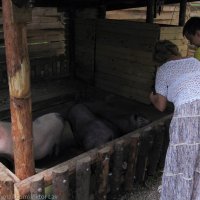 Улыбнитесь вас снимают :: Виктор Лавриченко