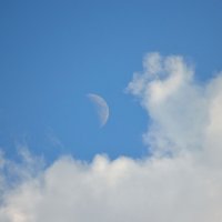 Луна и облака :: Владимир Анакин