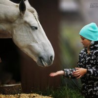 Конный спорт :: Татьяна Бочок