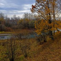 "Осень-рыжая лисица" :: Алексей Мезенцев