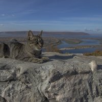 Сфинкс :: Александр Осипов