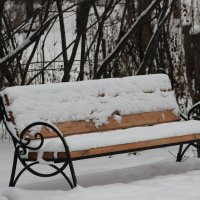 в парке :: андрей шилов