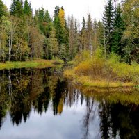 Осень :: Светлана Петошина