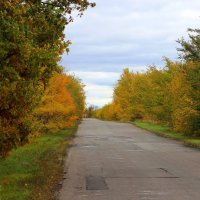 дорога в осень :: Владимир Суязов