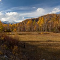 Осенний пейзаж :: Анатолий Иргл