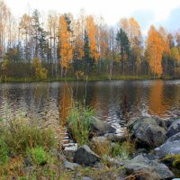 Осень в Карелии :: Николай Гренков