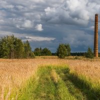 От кирпичного завода осталась лишь только кривая труба :: Игорь Сикорский