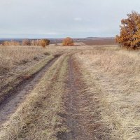 Лесостепь :: Александр Алексеев