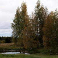 Золотая осень на истоке Камы :: Владимир Максимов