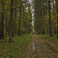 В сумраке осеннего парка. :: Senior Веселков Петр